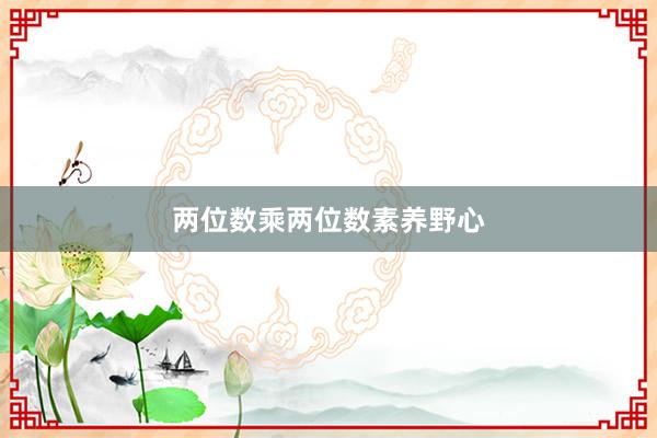 两位数乘两位数素养野心