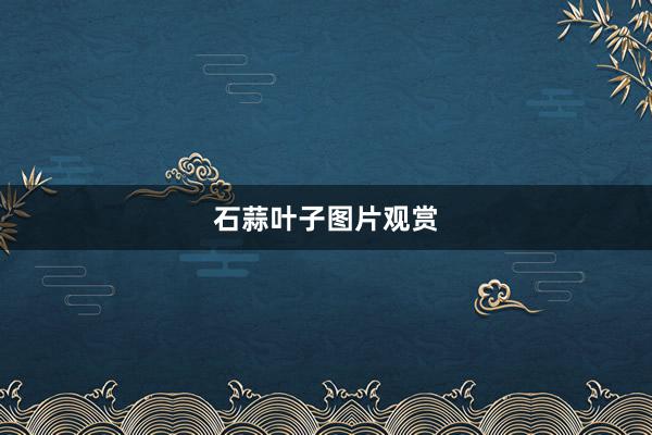 石蒜叶子图片观赏