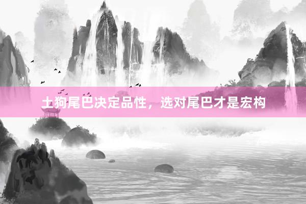土狗尾巴决定品性,选对尾巴才是宏构