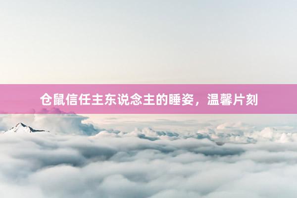 仓鼠信任主东说念主的睡姿，温馨片刻
